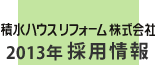 ϐnEXtH[@2013N̗p